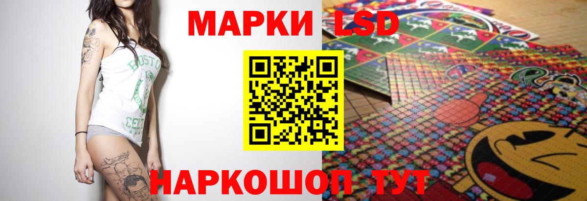 Альфа ПВП Моздок