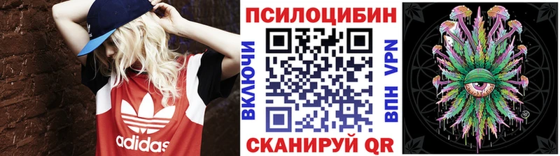 Галлюциногенные грибы мухоморы  shop как зайти  Моздок  купить наркотики сайты  ссылка на мегу сайт 
