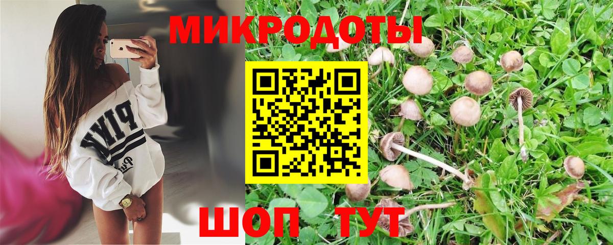 Моздок  даркнет сайт  Вход с VPN  Псилоцибиновые грибы MAGIC MUSHROOMS 